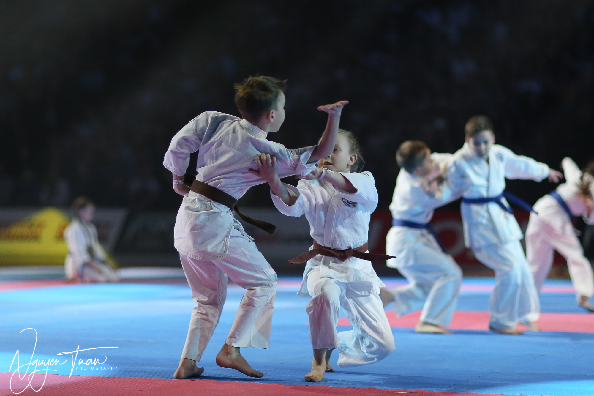 20190324 Festival des Arts Martiaux 3661